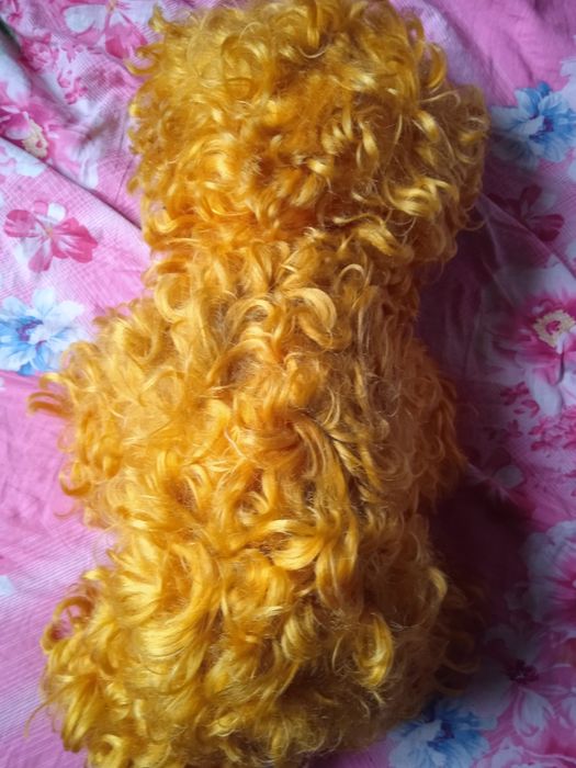 Мишка СССР времён.