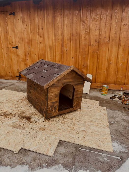 Adăpost animale câine