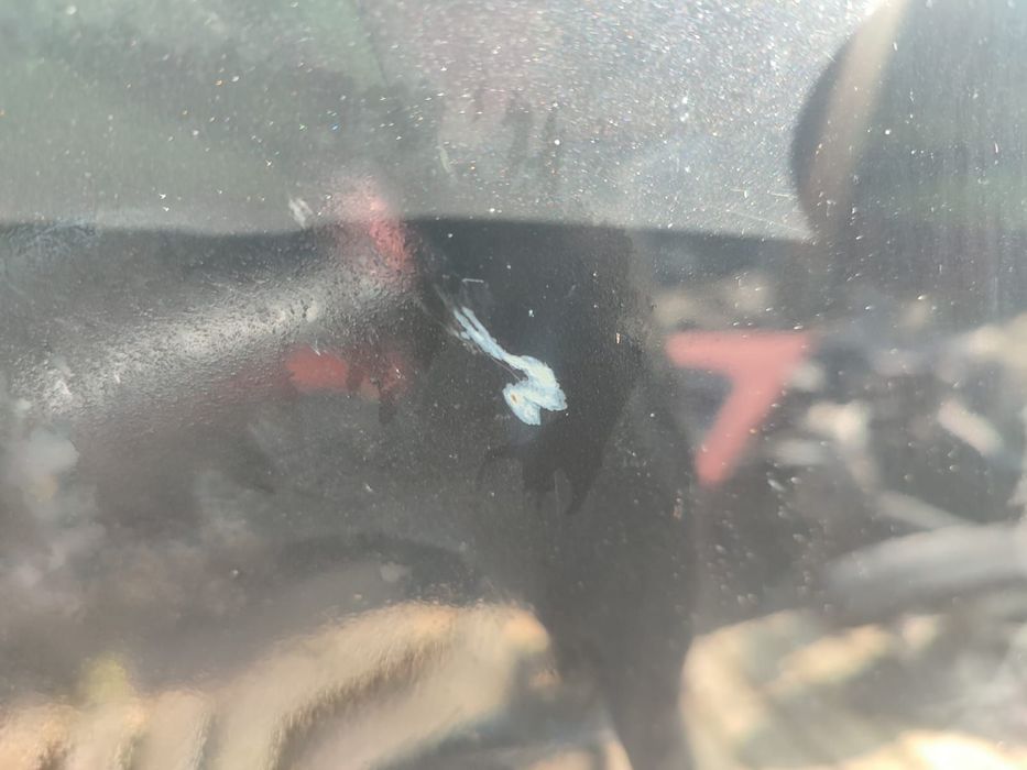 Capota motor Hyundai ix35 1 (facelift)  [din 2013 pana  2015]