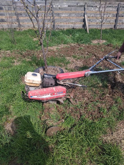 Motocultor Profesional Honda F560