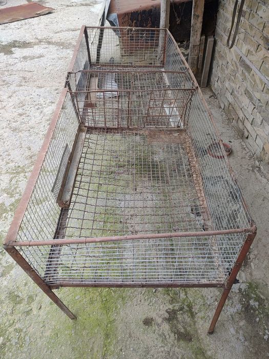 Зайчарник разделен на две