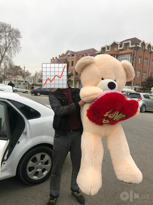 Kotta Teddy ayq igrushki