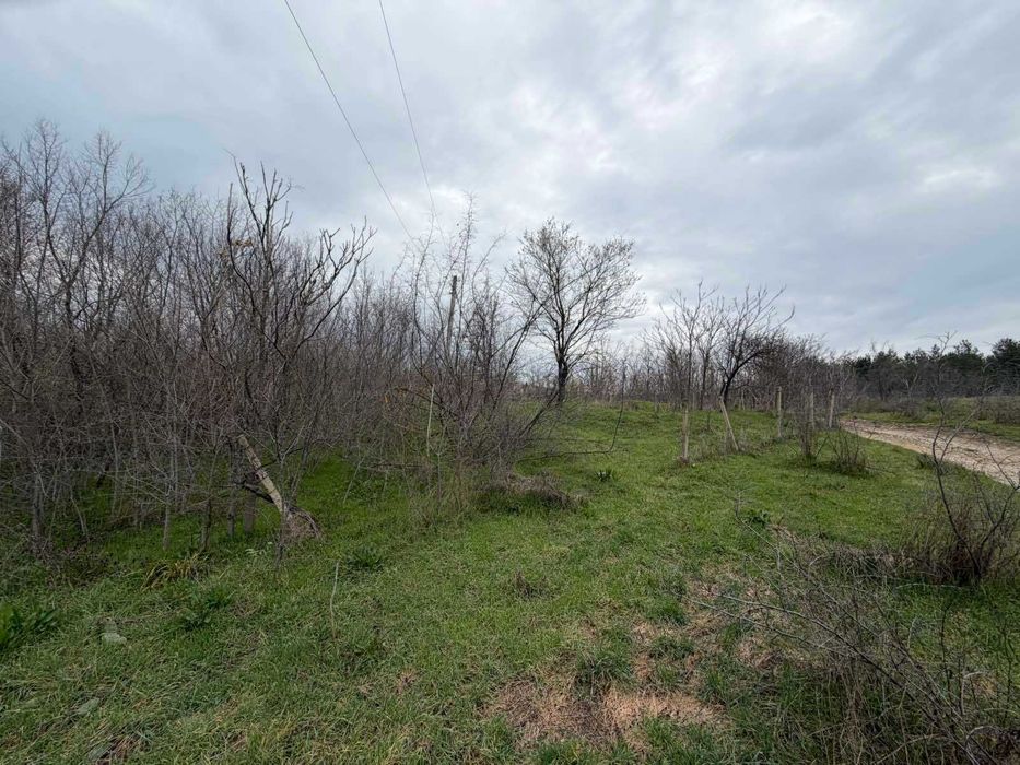 Продава се Парцел в с. Братя Даскалови, Област Стара Загора - 1150 кв.м за 4 €/кв.м - Снимка #2