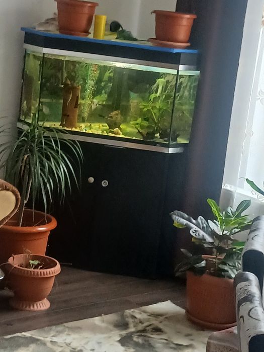 Vând acvariu  pe colț