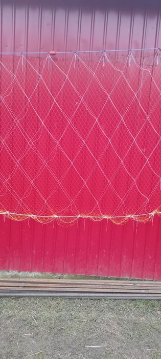 Setca pește,halău,crâsnic plasa