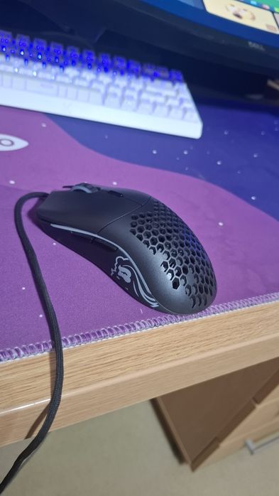 Mouse Glorius Model O