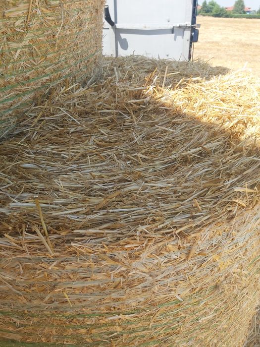 Продавам бали сено и чиста люцерна