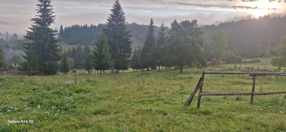 Teren intravilan 5.500 mp – parcelabil în 2 loturi, utilități, acces,