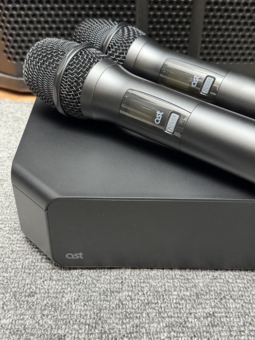 Ast zoom караоке