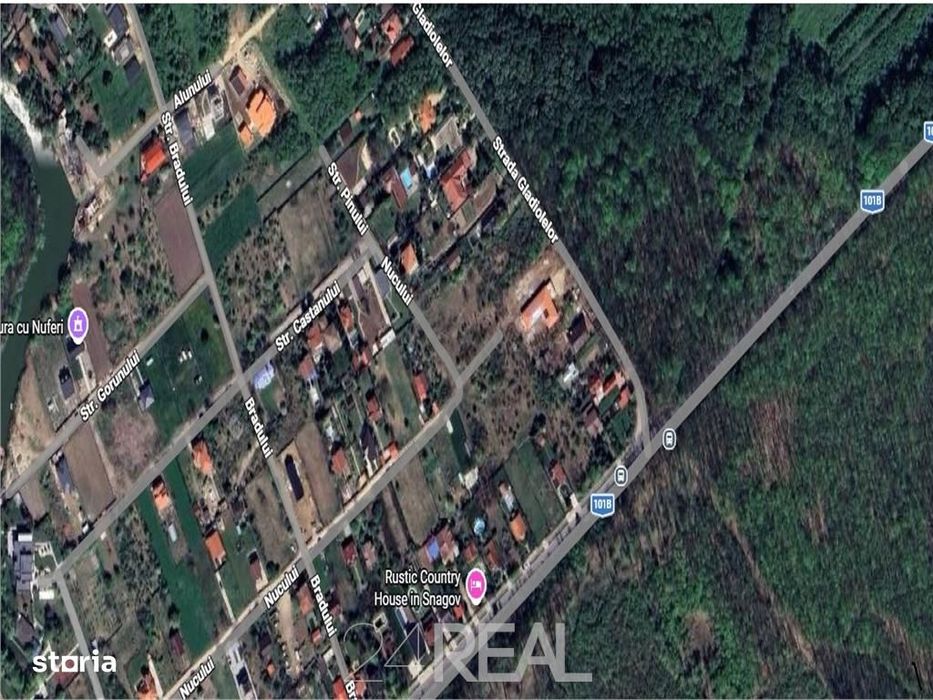 Teren de vanzare in Snagov - 981 mp