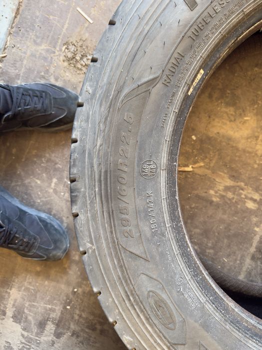 Мегани боландары