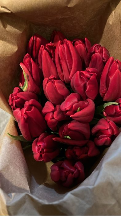 Тюльпаны сортовые