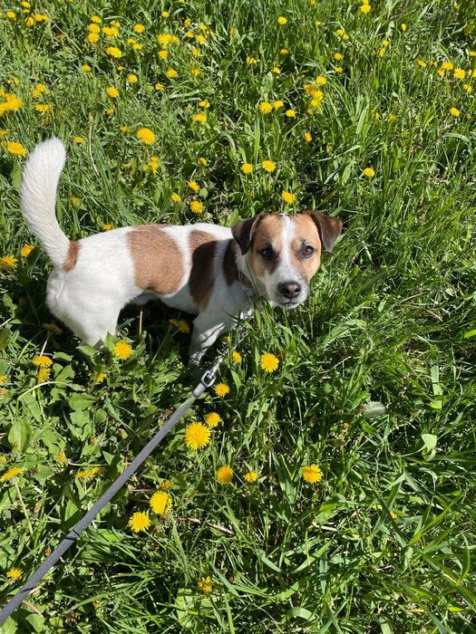 Молодой парень ищет спутницу