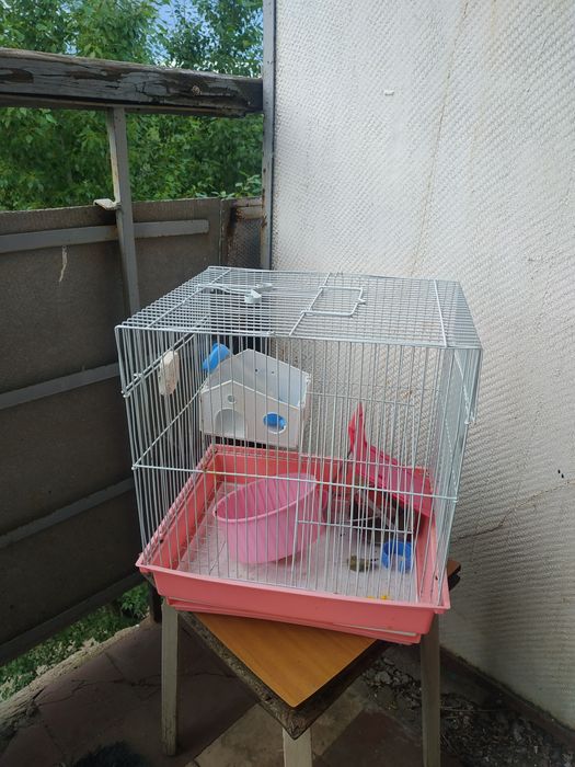 Продам клетку (для хомяков)