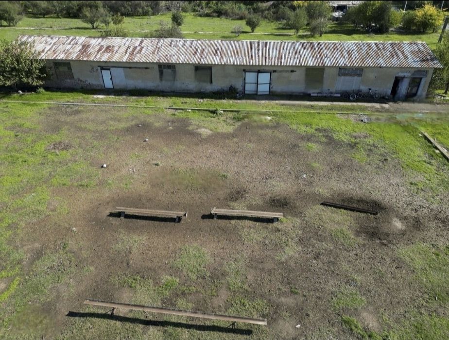 Hala de 430 mp cu teren intravilan 2,5 ha Macea