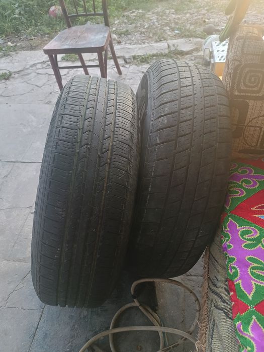 Шины латыни рх300