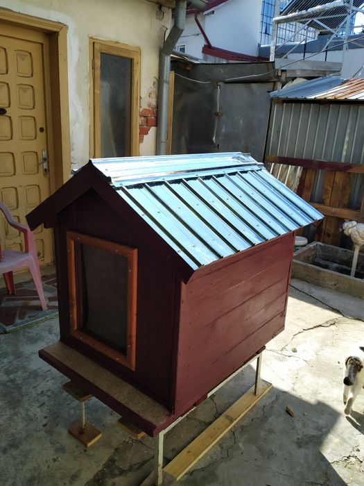 2 cuști pentru câini