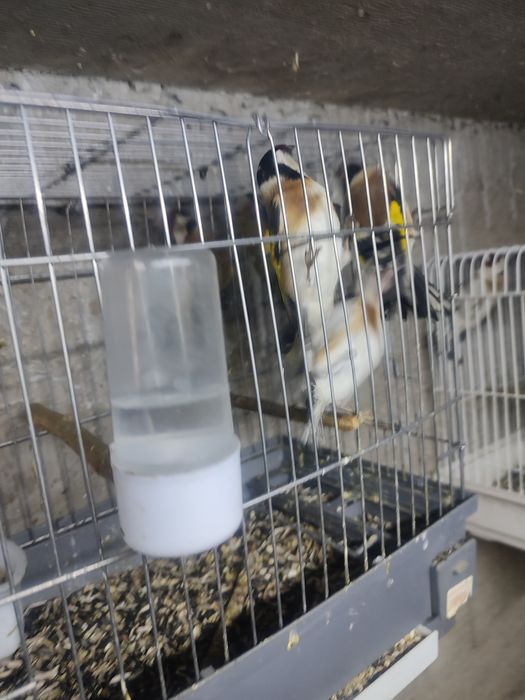 ПРОДАМ СРОЧНО  зимники и летники