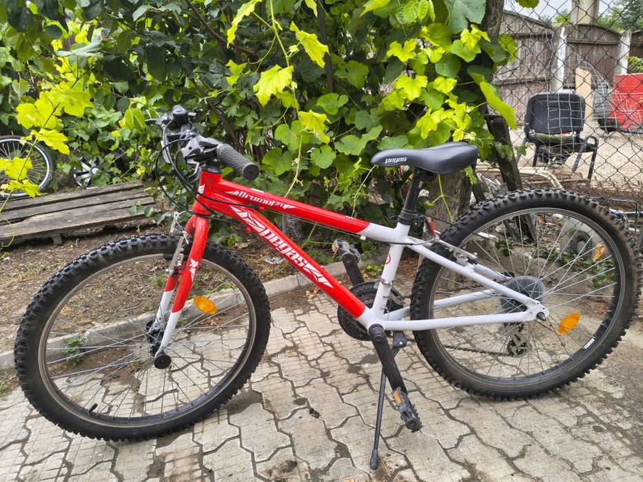 Bicicleta Pegas Drumet 24 (Rosu/Alb)