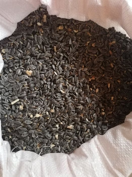 vand floarea soarelui, srot soia, mazare