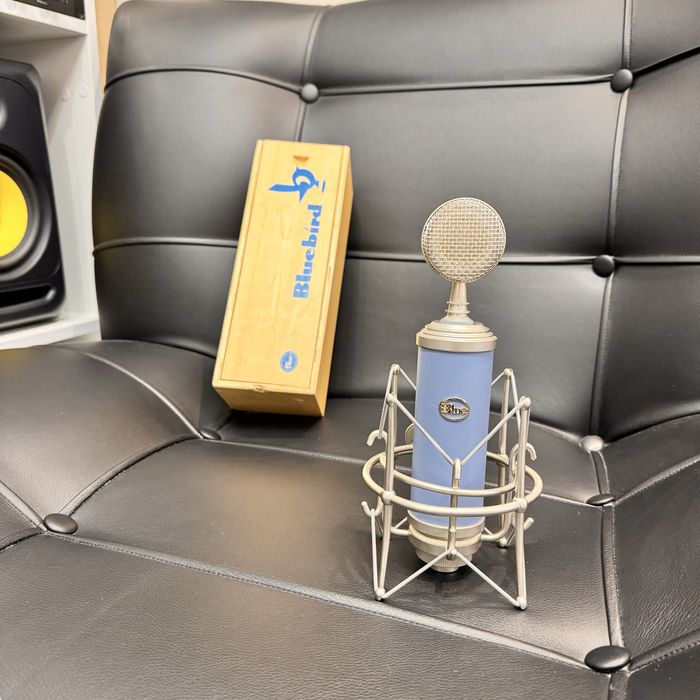 Blue Bluebird студийный микрофон