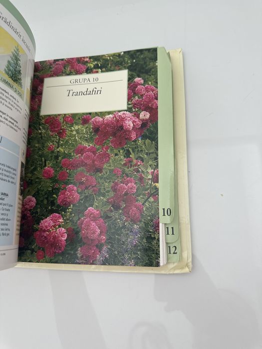 Gradinarit in orice anotimp