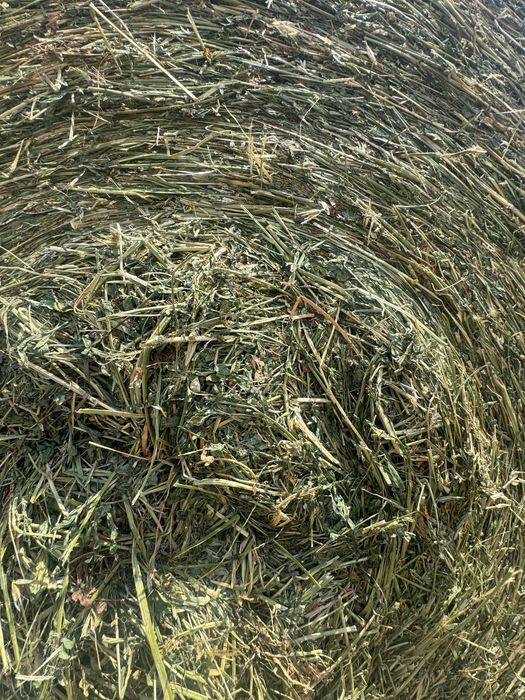 Люцерна, сено овес ,грах топ качество