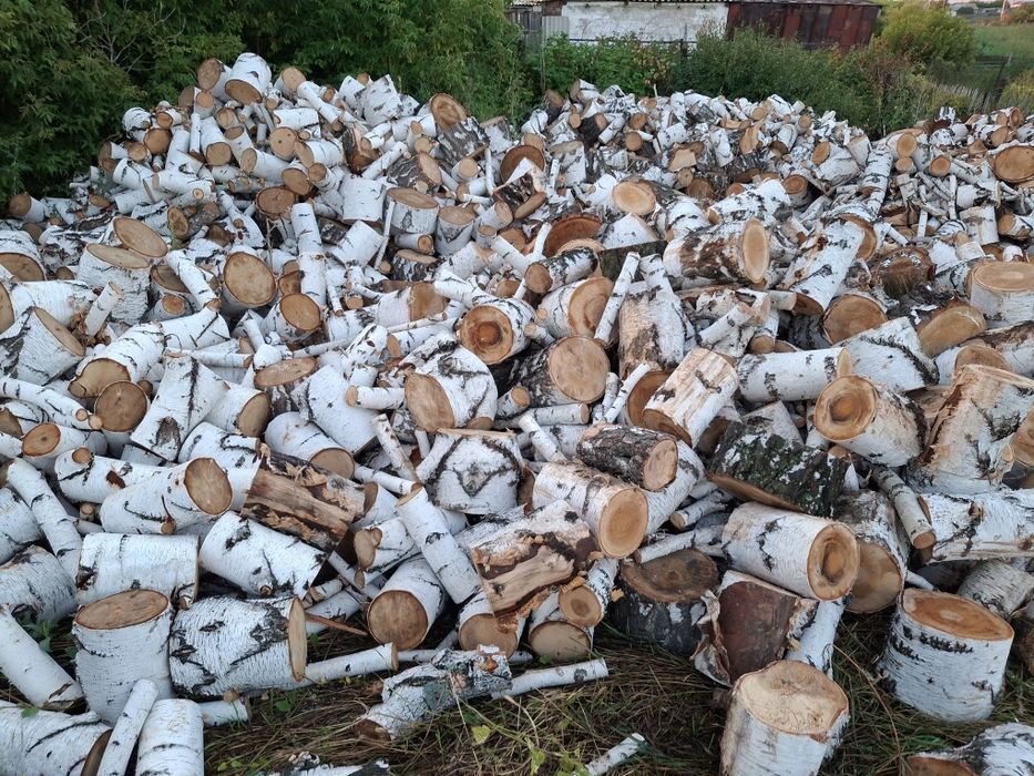 Берёза продам дрова