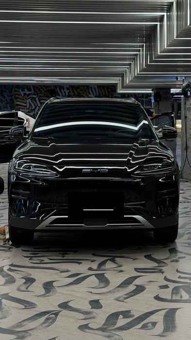 Byd champion 2024 /605