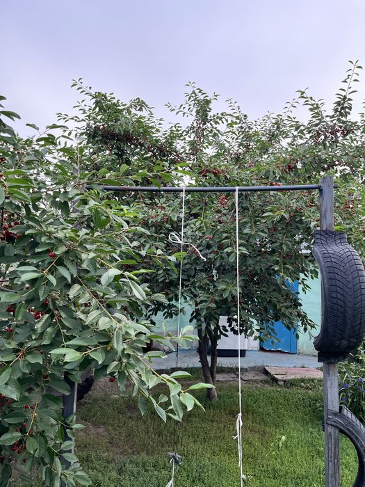Продам дом в Талгаре