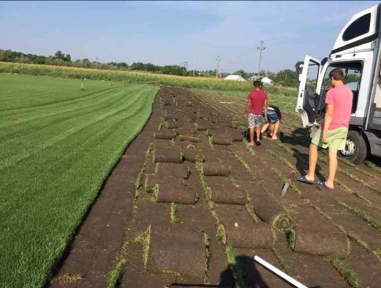 Transformă-ți Curtea Acum – Gazon Premium cu Montaj Inclus