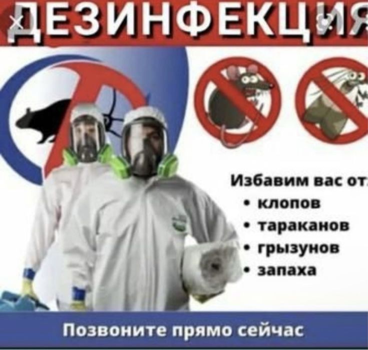 Обработка от термитов