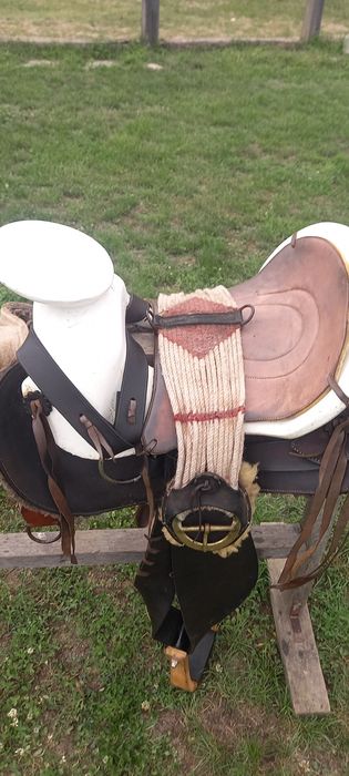 De vânzare diferite șei