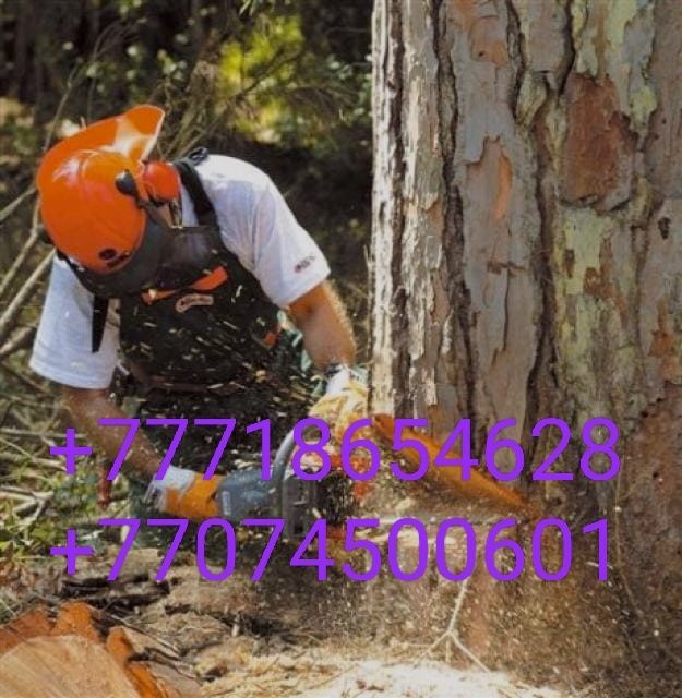 Спиль деревьев любой сложности