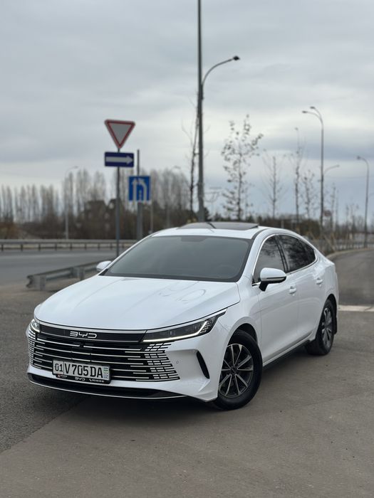 Chazor 2024 Oq 2Pozitsiya