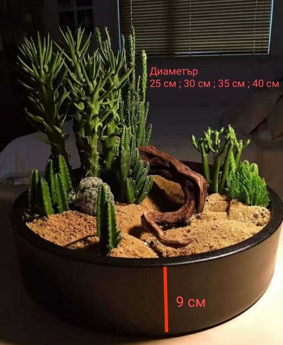 Терариум за плот