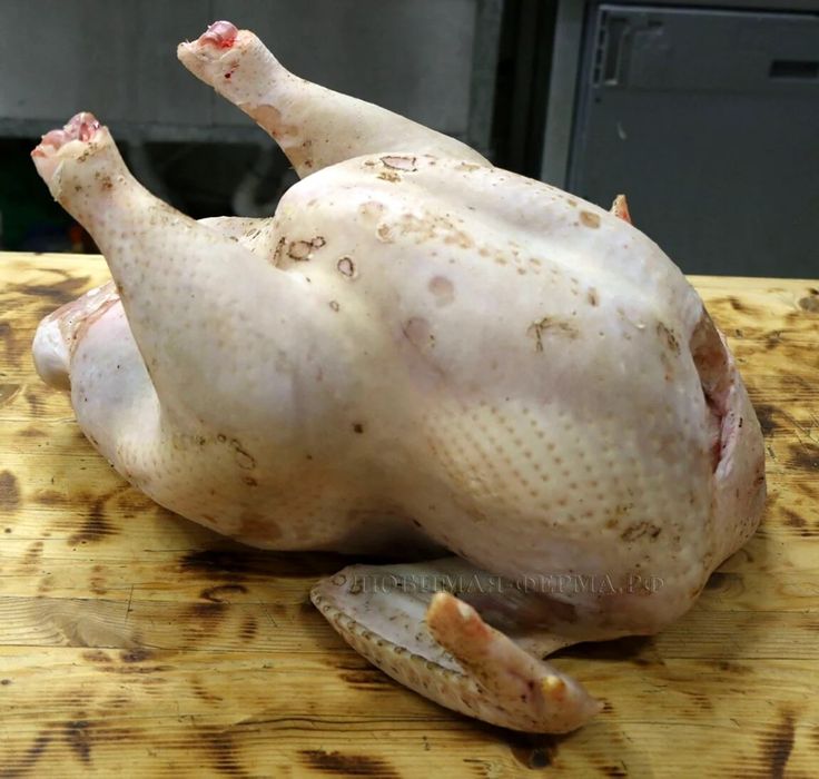 Домашнее мясо птицы