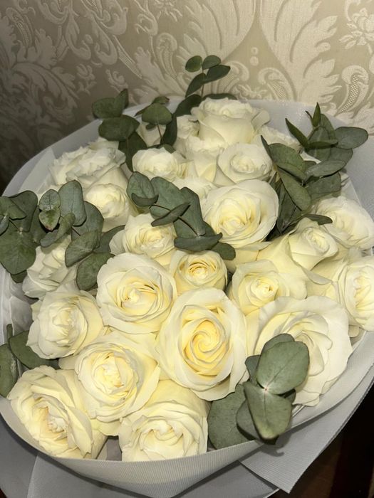 белая роза — свежие