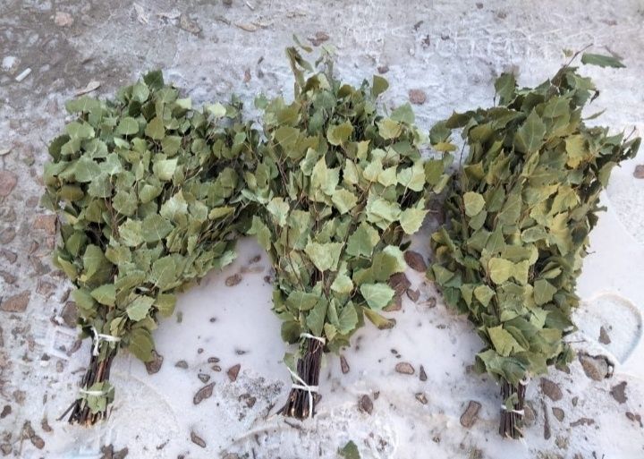 Продам берёзовые веники