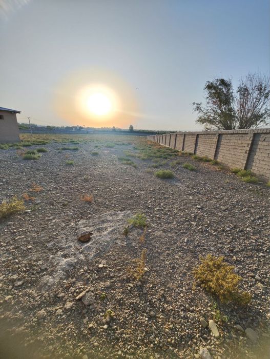 Паррандачилик ва чорвачилик фермаси сотилади