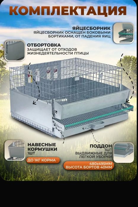 Клетка для перепелов.