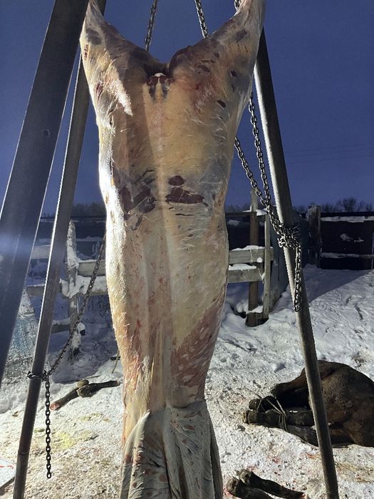 Ет кабылдаймын калбасный вариант