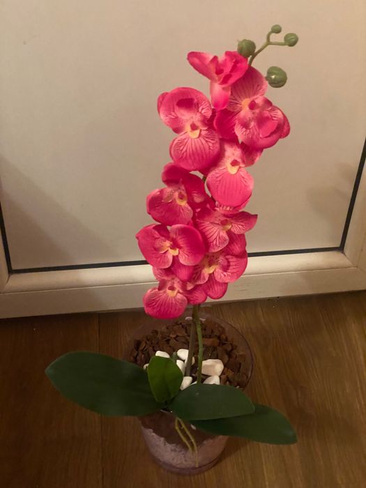 Орхидея латексна за вашия дом и офис