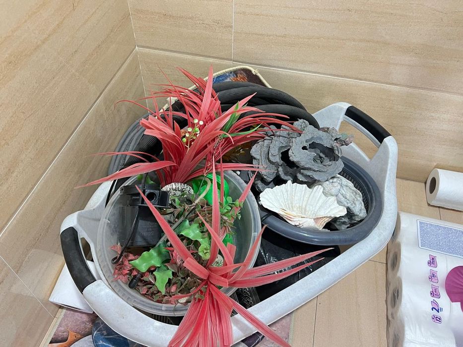 Аквариум для рыб