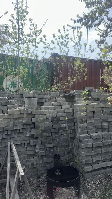 Бурчатка продаётся в хорошем состоянии