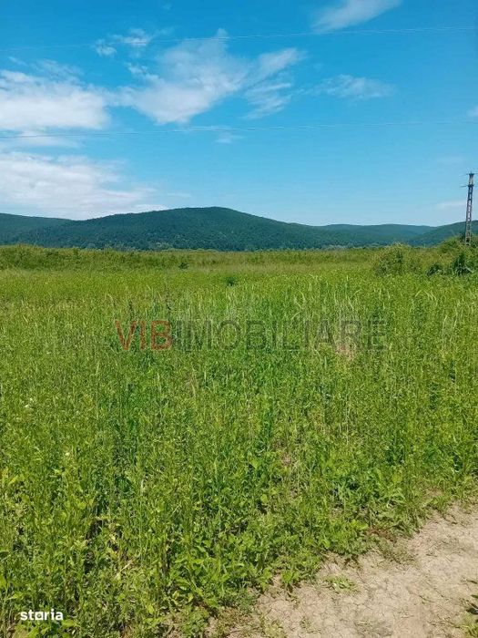 Oportunitate investiție agricolă | 750 ha societate | Județul Arad |