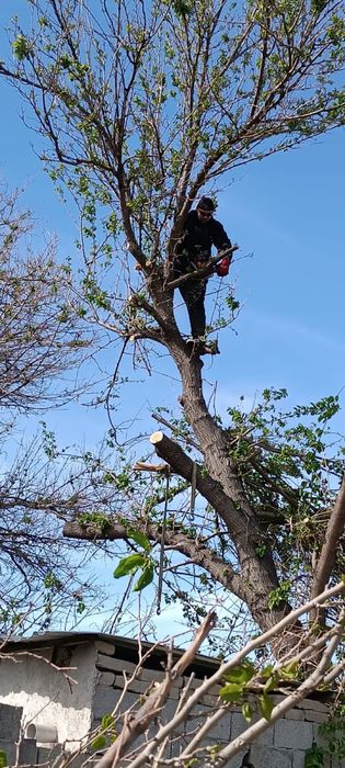 Уборка травы спил деревьев