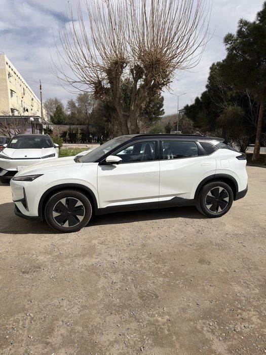 Dongfeng  2025 — 2