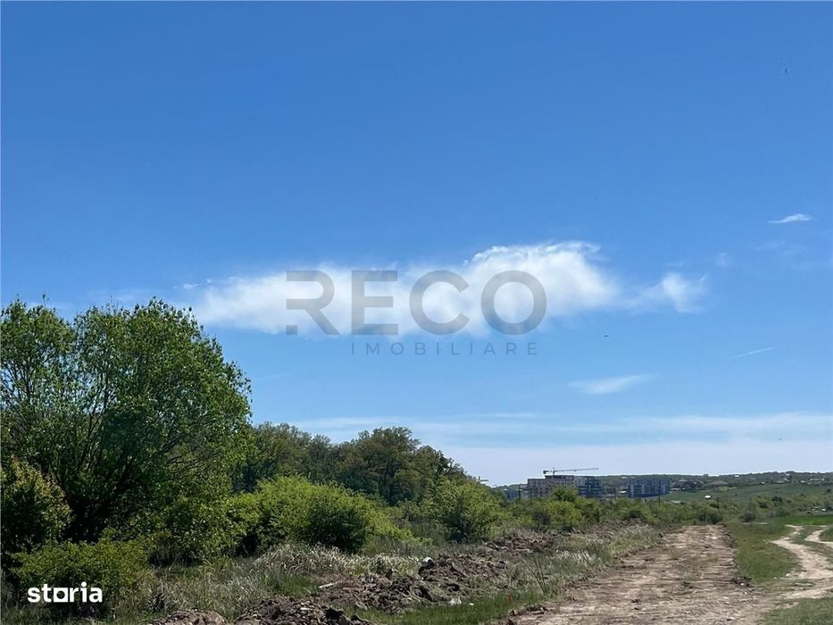 RECO teren intravilan Sanmartin