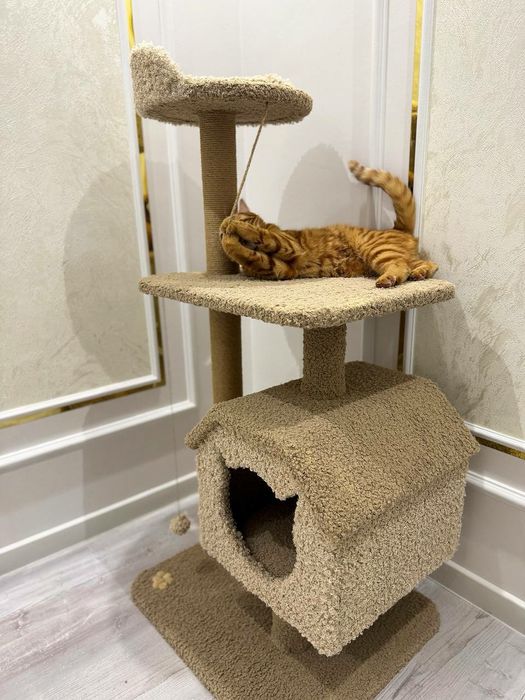 Домик для кошек. Игровой комплексы. Качество 100. Зоодомики